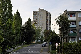 Osiedle Syberka w Będzinie ul. Ratingera